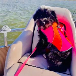 Meet your Posher, Allison